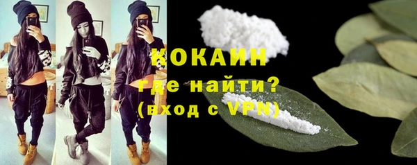 индика Михайловка