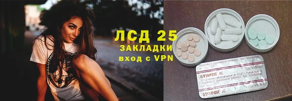 спайс Михайлов