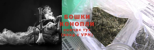 индика Михайловка