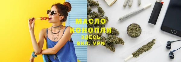 индика Михайловка