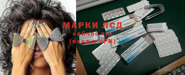сатива Михайловск