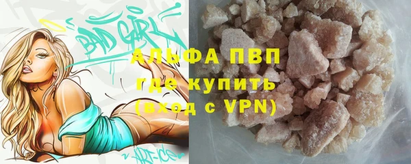 индика Михайловка