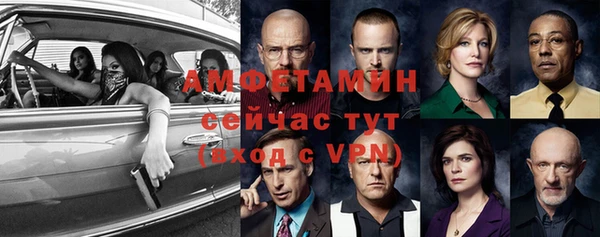 сатива Михайловск