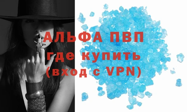 индика Михайловка